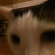 Image for article titled Terrible Things You Can Do with a Selfie Stick, Other Than Take Selfies